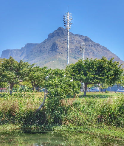  Two Rivers Urban Park