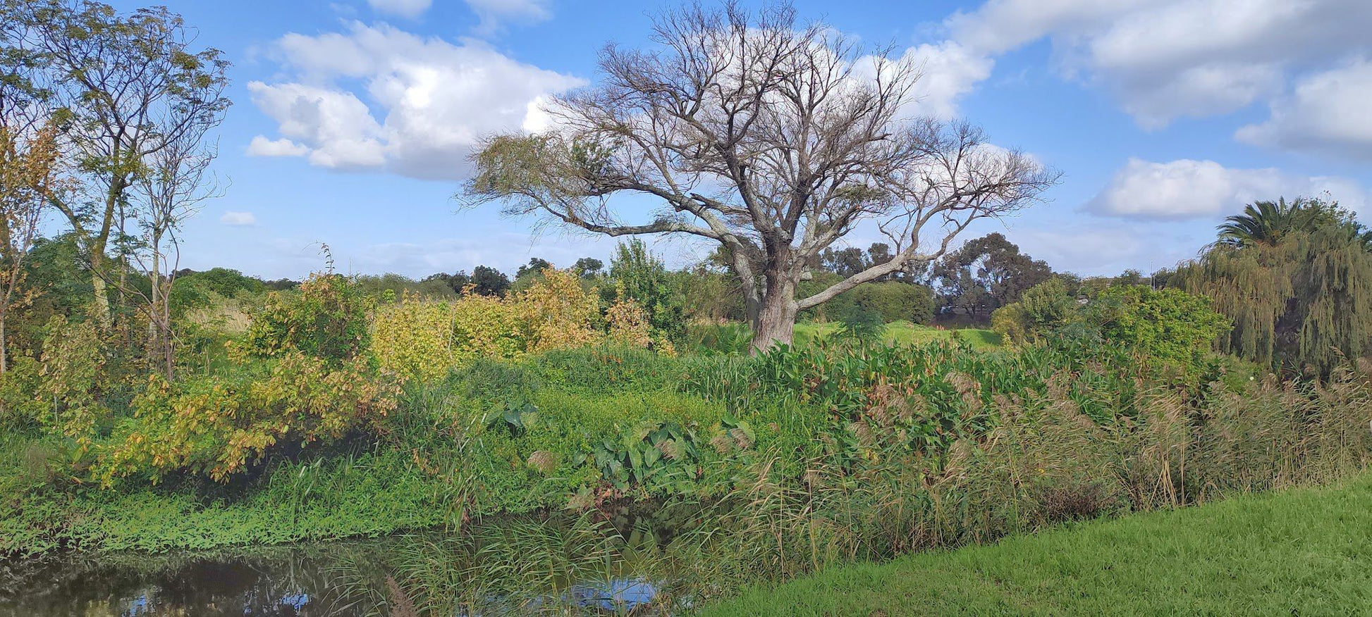  Two Rivers Urban Park