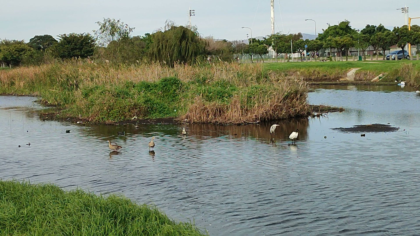  Two Rivers Urban Park