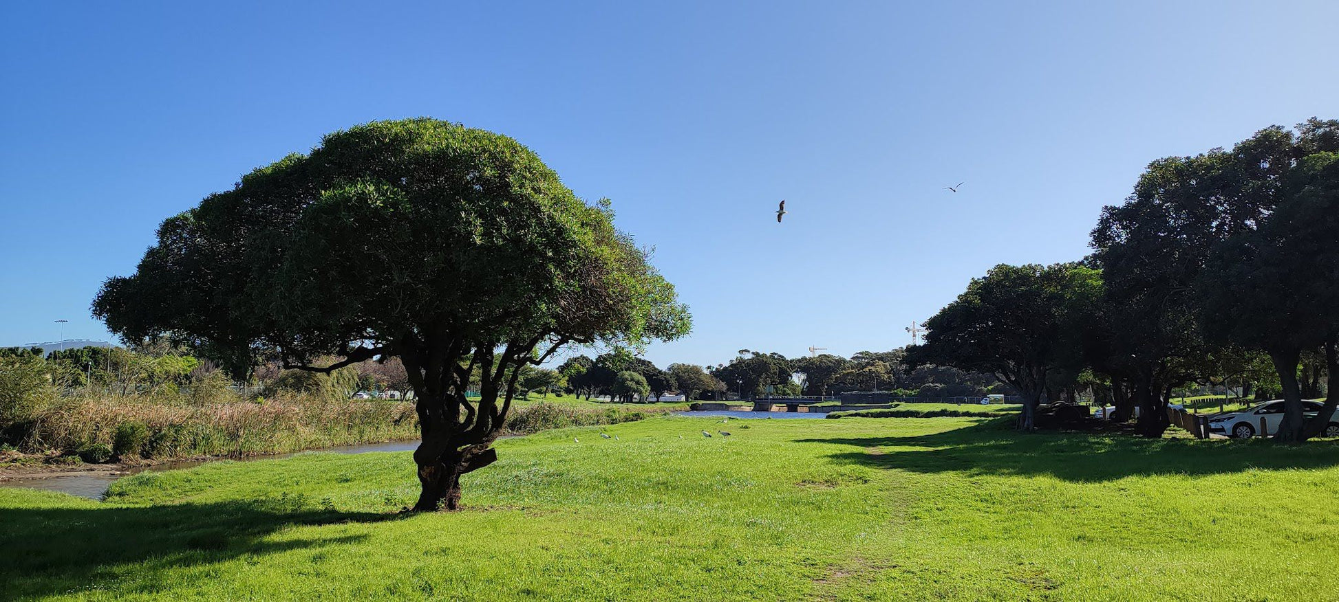  Two Rivers Urban Park