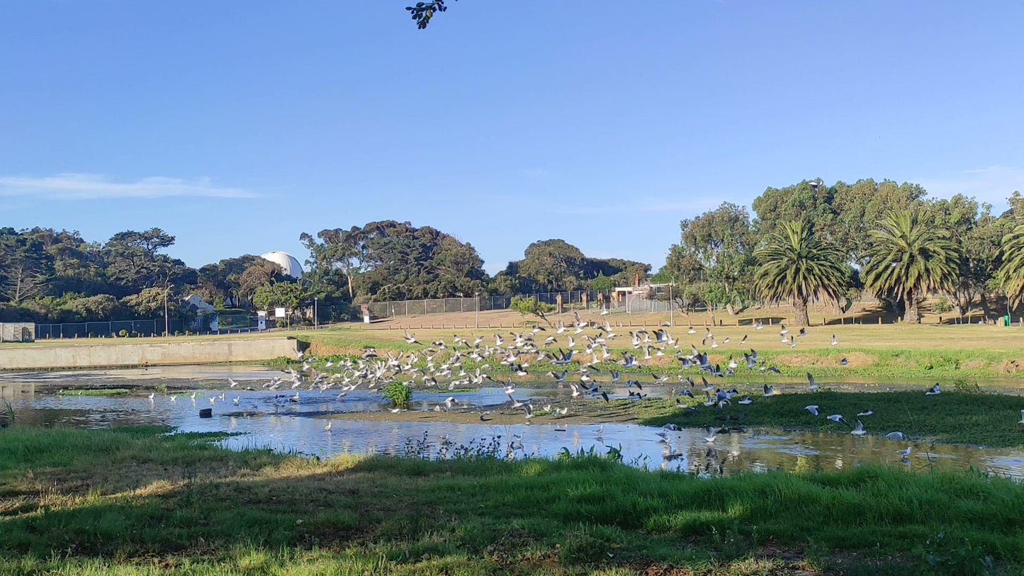  Two Rivers Urban Park