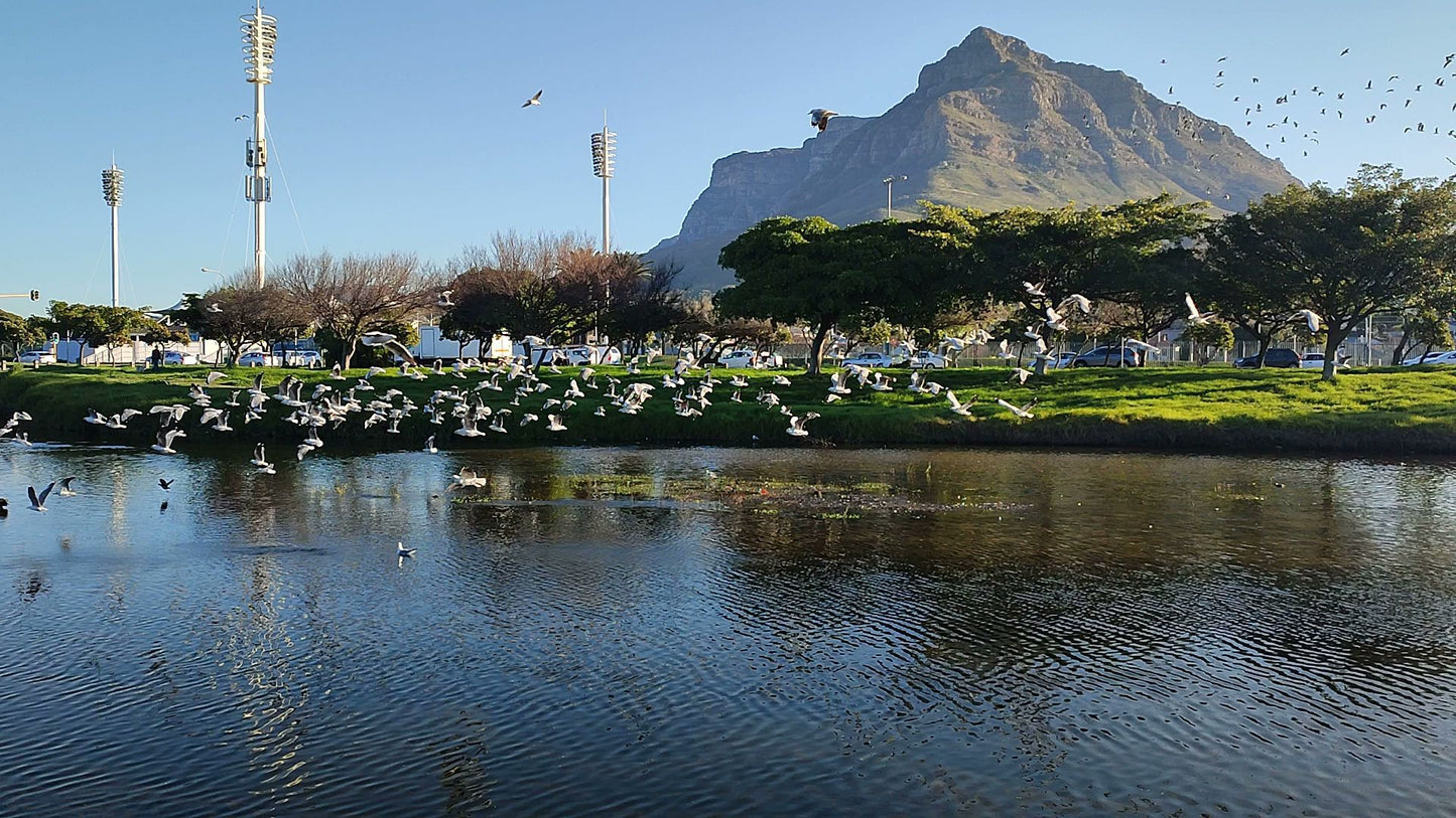  Two Rivers Urban Park