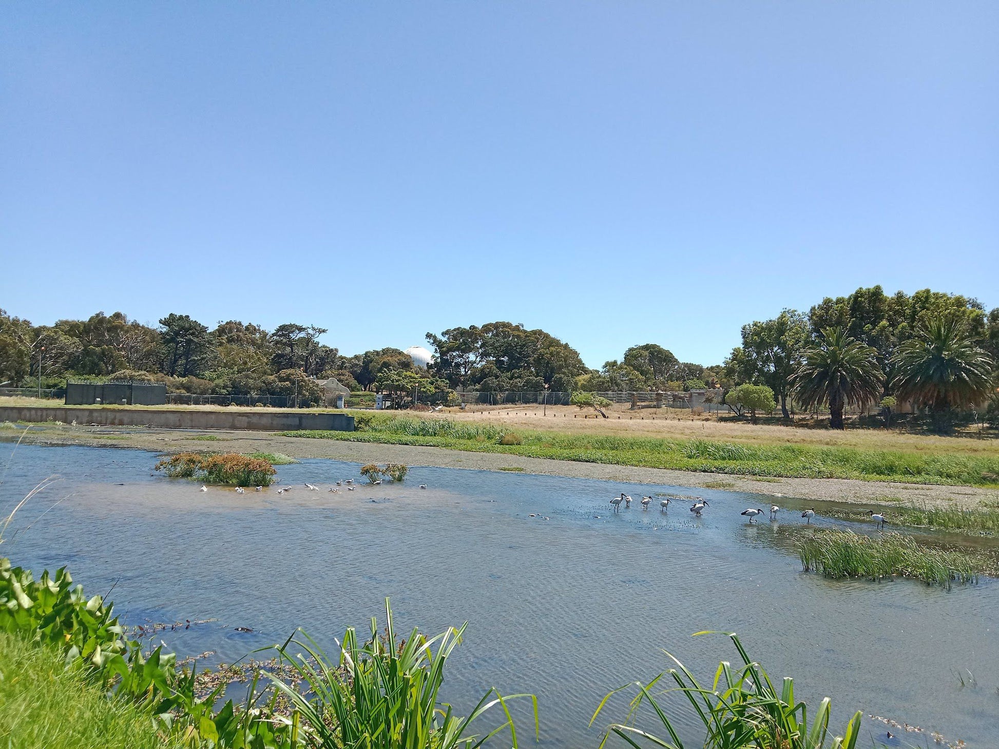  Two Rivers Urban Park