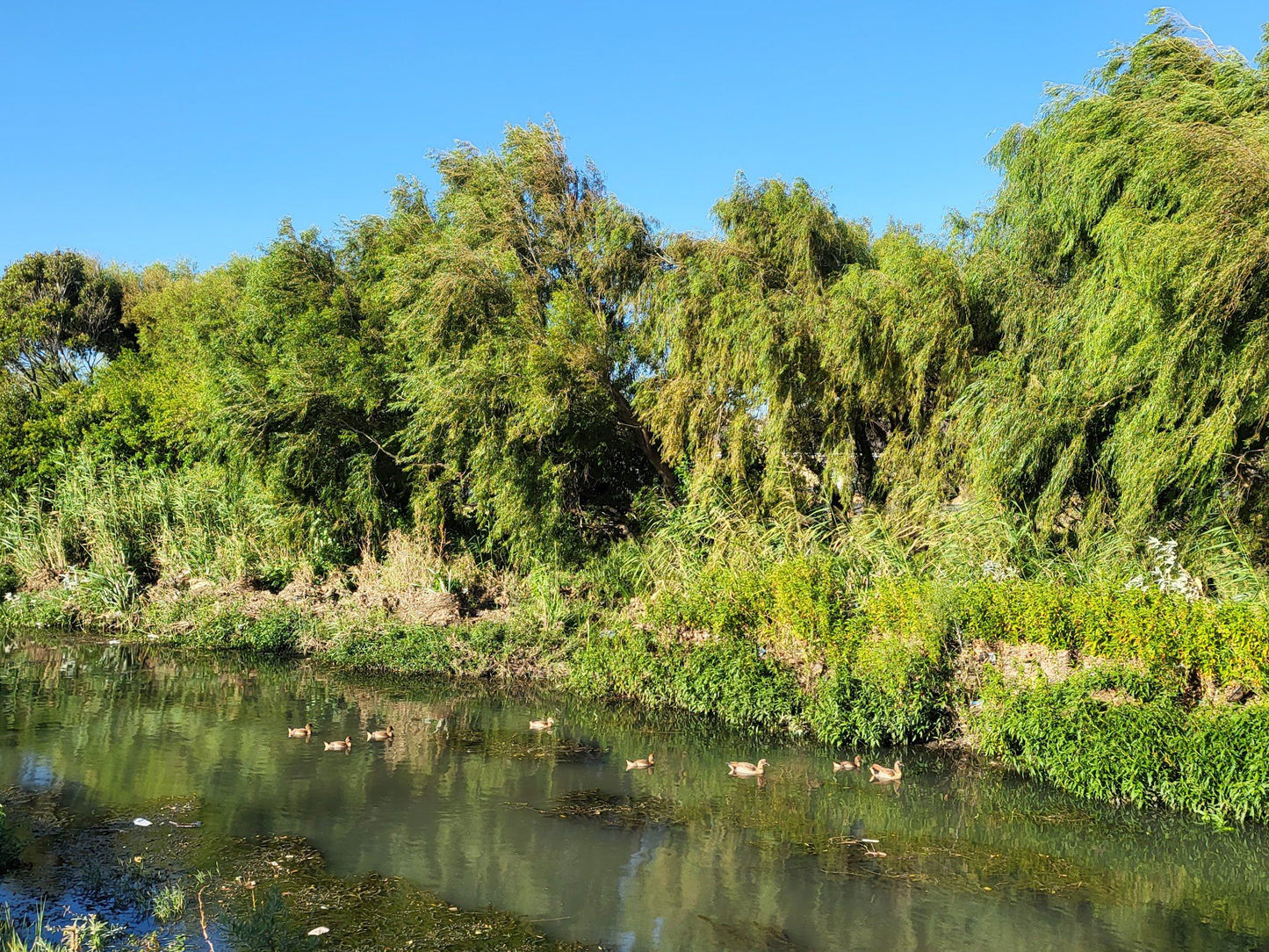  Two Rivers Urban Park