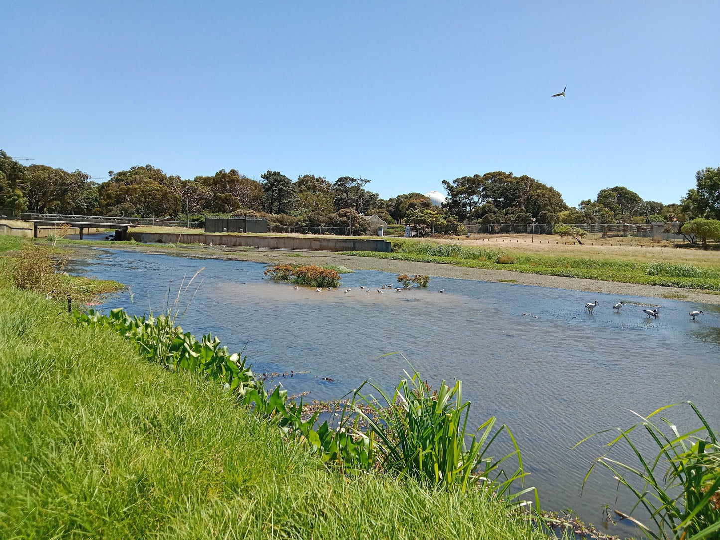  Two Rivers Urban Park