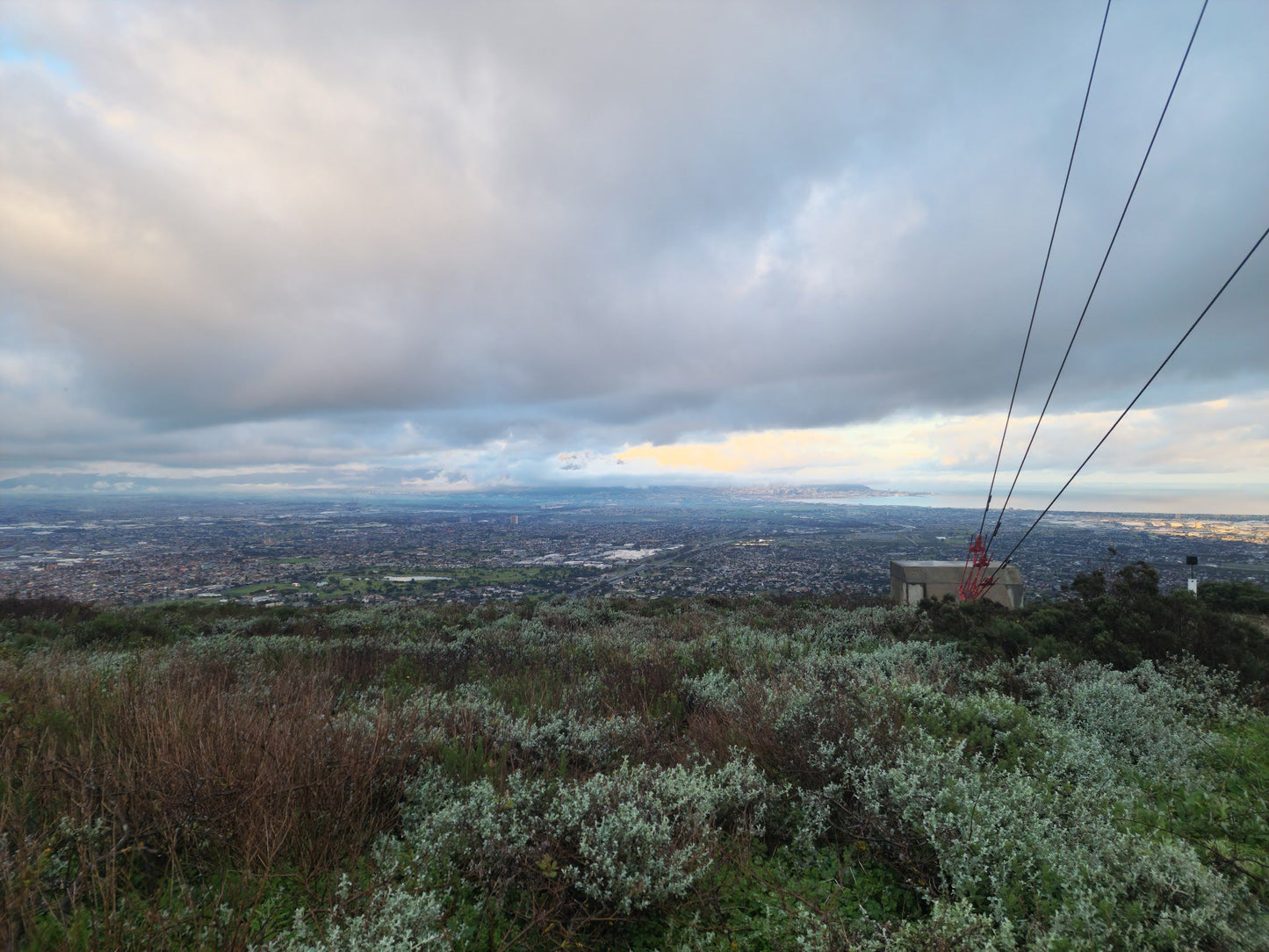  Tygerberg Nature Reserve