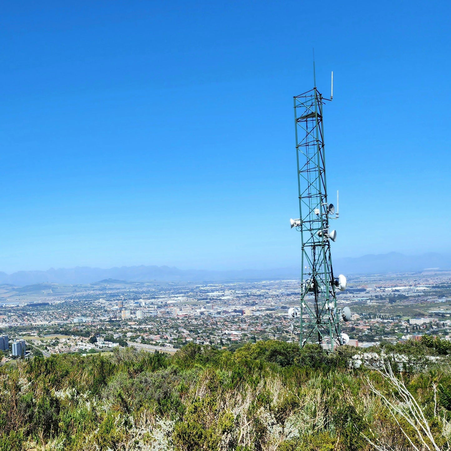  Tygerberg Nature Reserve