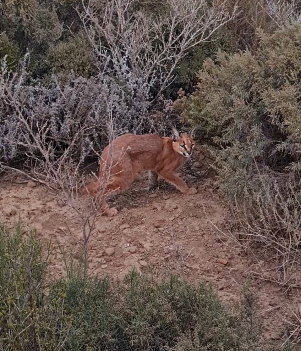  Tygerberg Nature Reserve