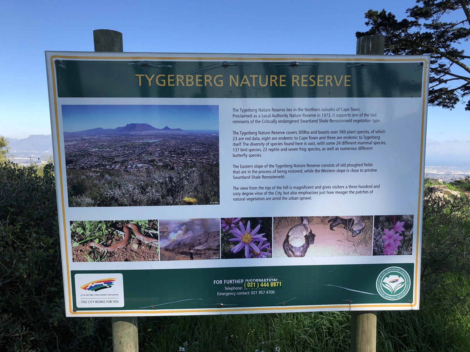  Tygerberg Nature Reserve