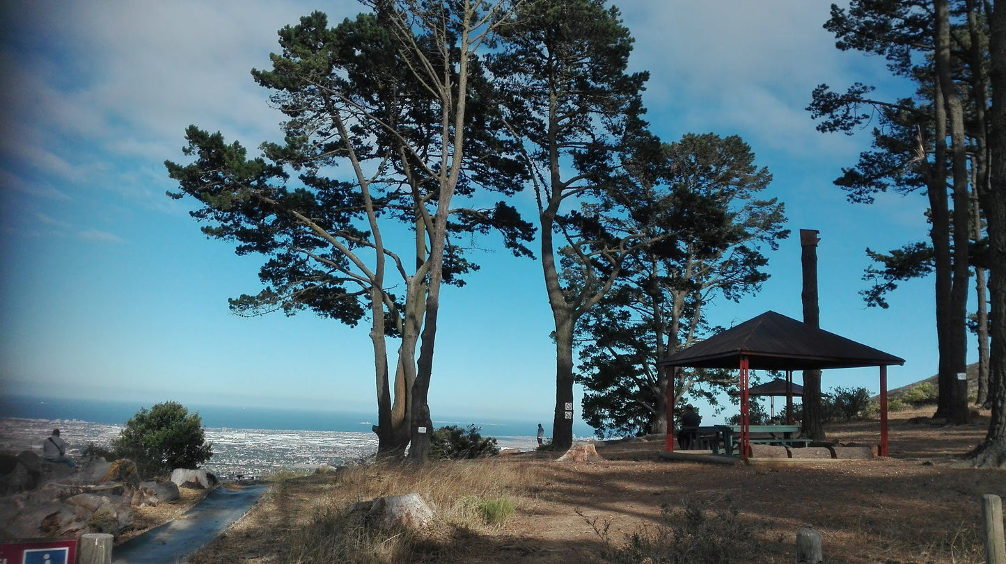  Tygerberg Nature Reserve