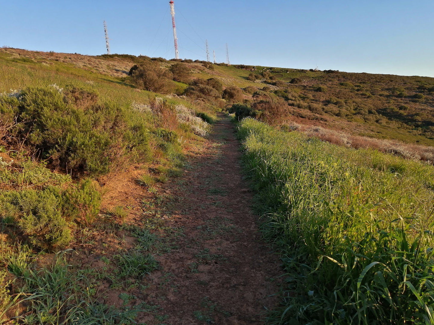  Tygerberg Nature Reserve