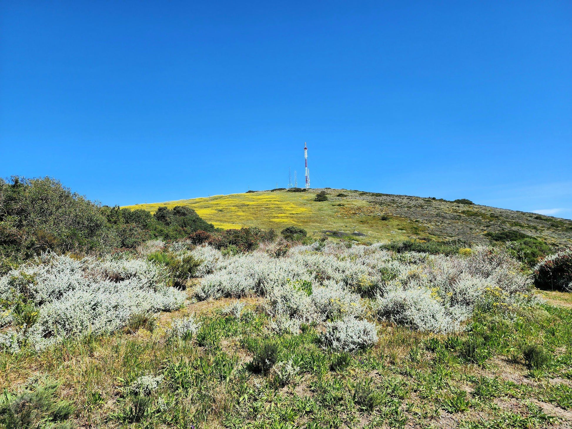  Tygerberg Nature Reserve