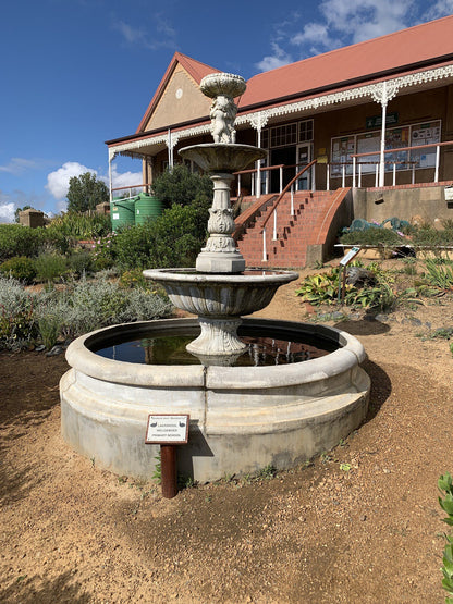  Tygerberg Nature Reserve