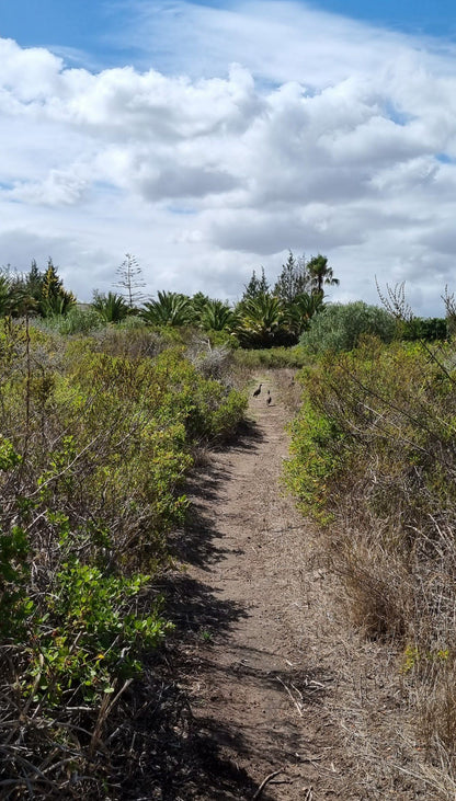  Uitkamp Wetland Nature Reserve