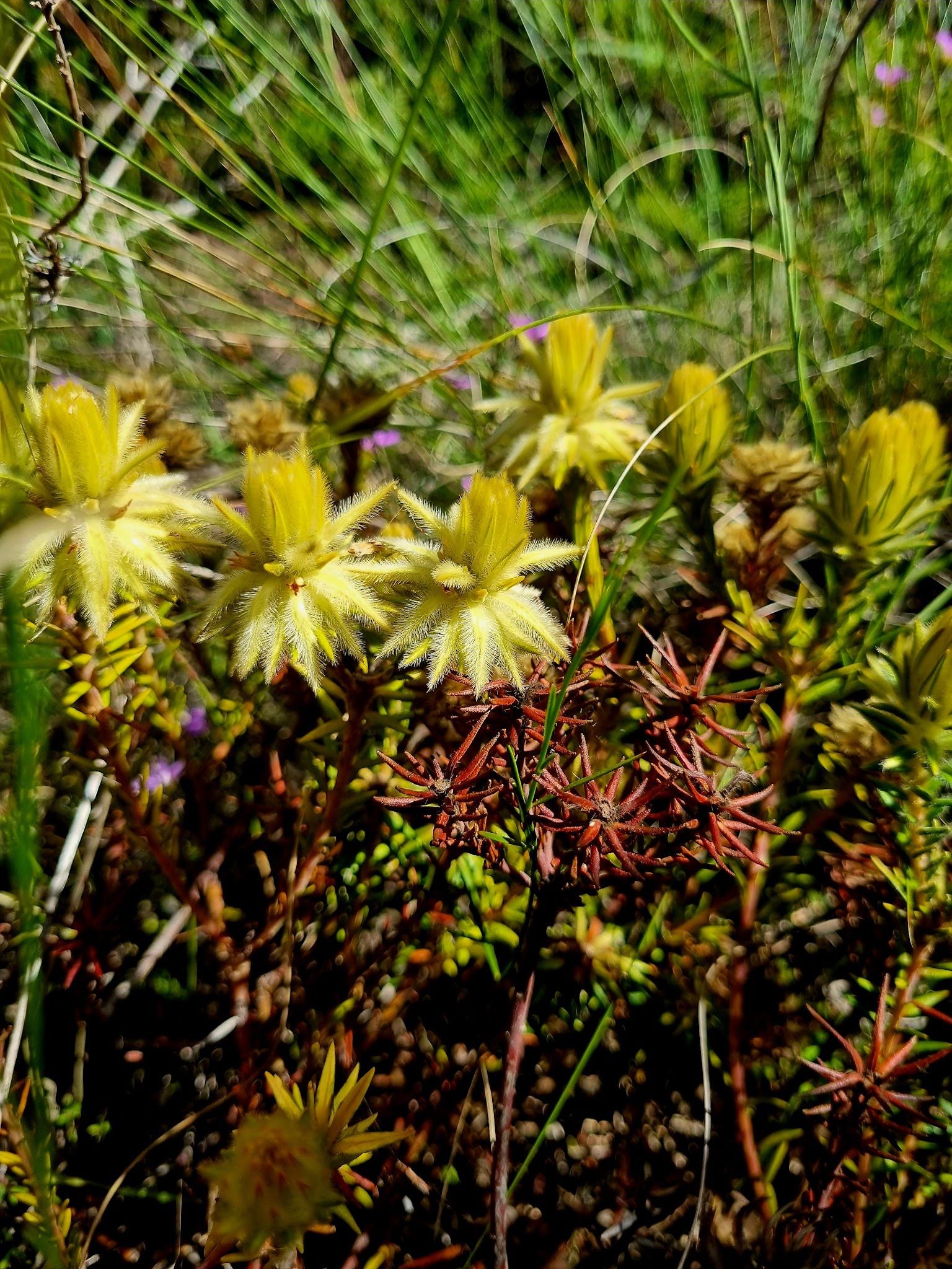  Uitkamp Wetland Nature Reserve