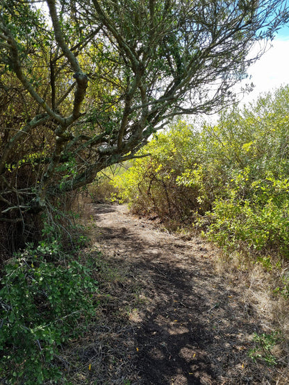  Uitkamp Wetland Nature Reserve