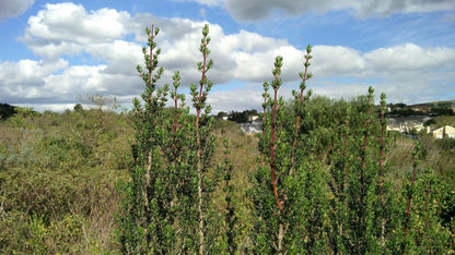  Uitkamp Wetland Nature Reserve