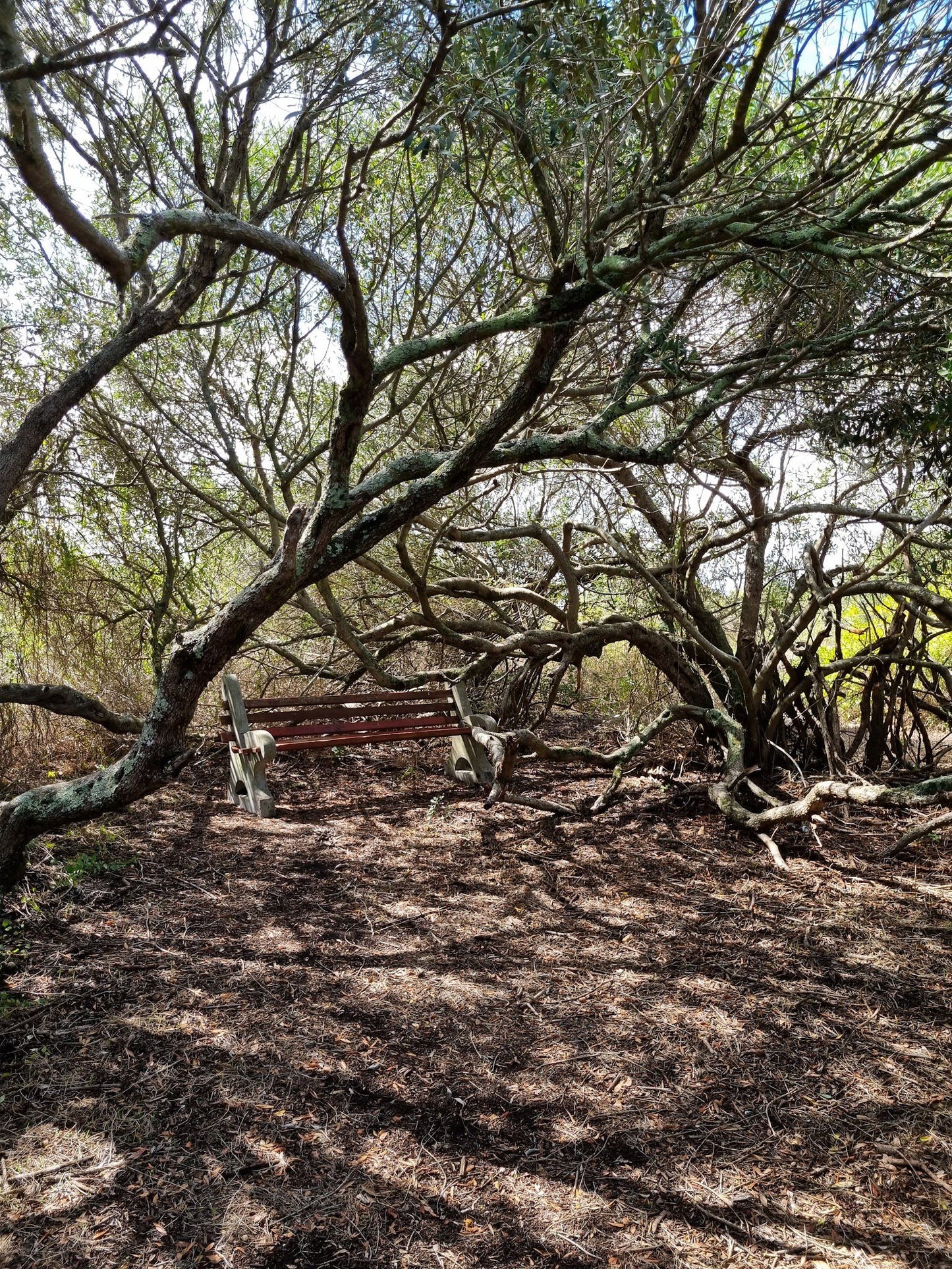  Uitkamp Wetland Nature Reserve