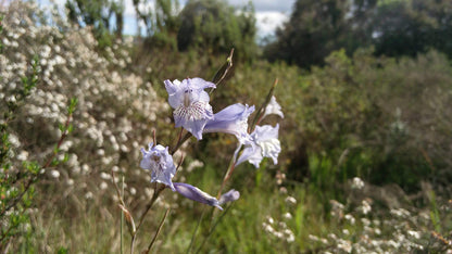  Uitkamp Wetland Nature Reserve