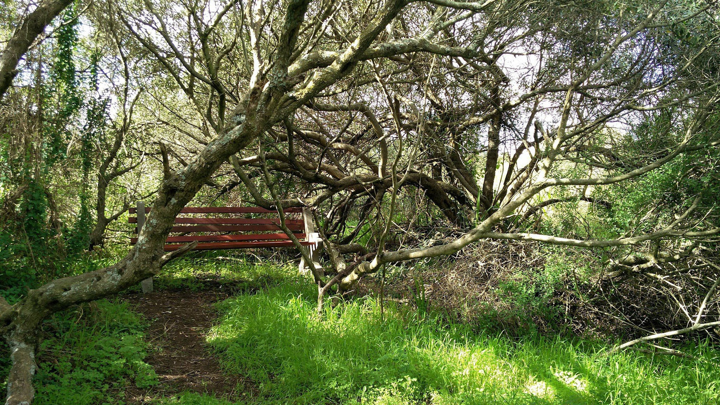  Uitkamp Wetland Nature Reserve