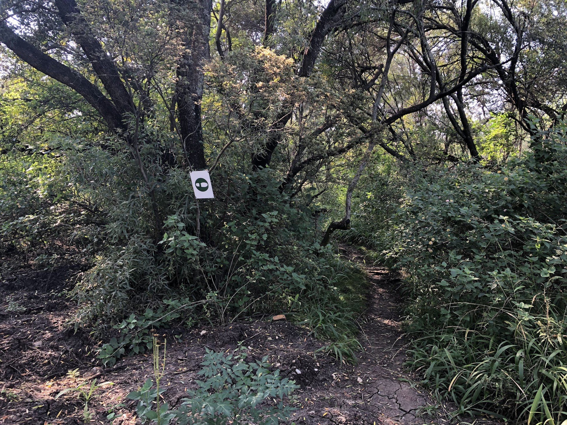  Uitkyk Hiking Trail