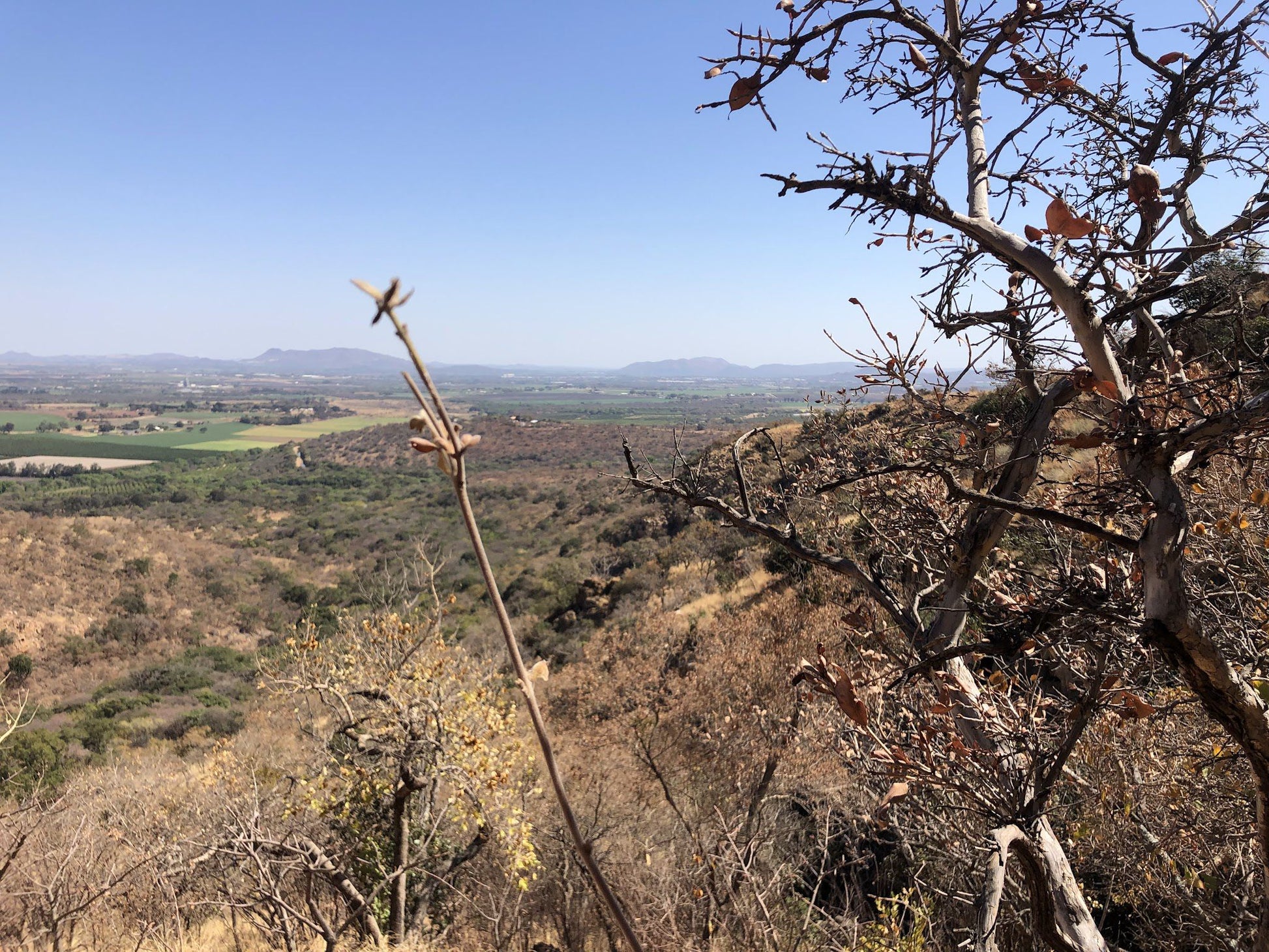  Uitkyk Hiking Trail