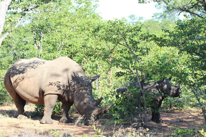  Umbabat Nature Reserve