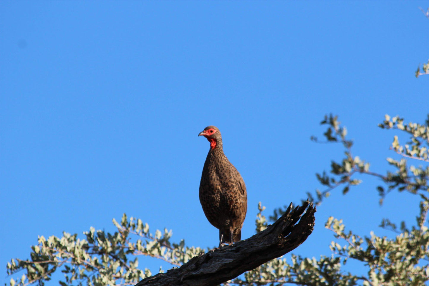  Umbabat Nature Reserve