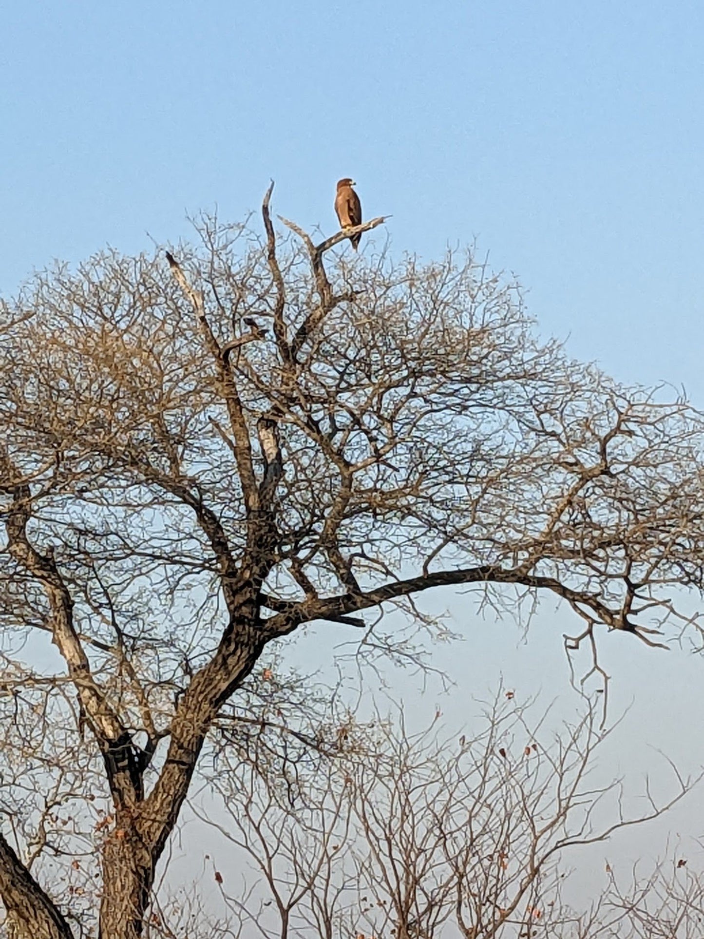  Umbabat Nature Reserve