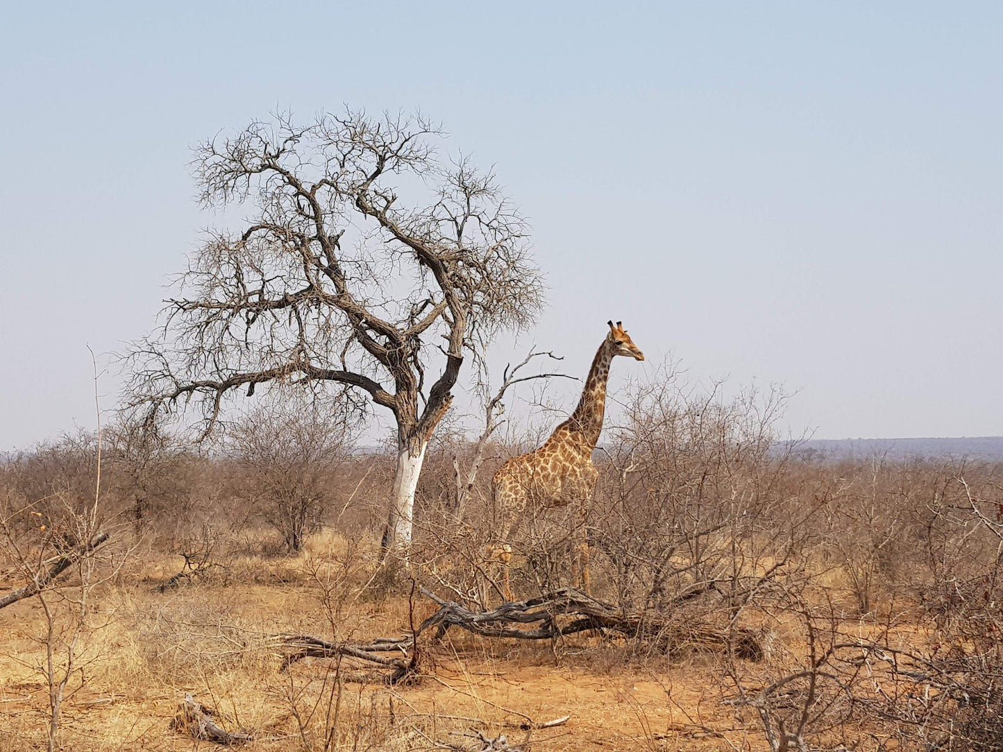  Umbabat Nature Reserve