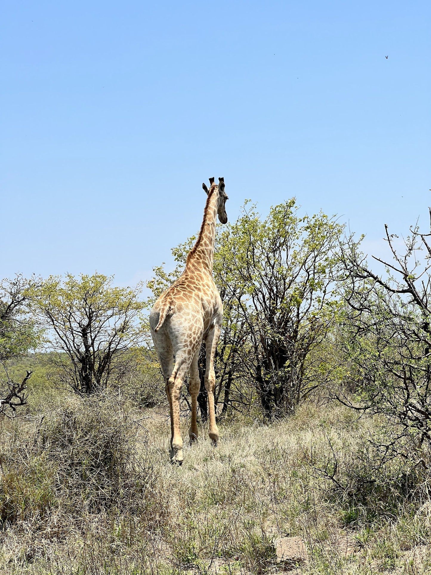  Umbabat Nature Reserve