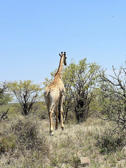  Umbabat Nature Reserve