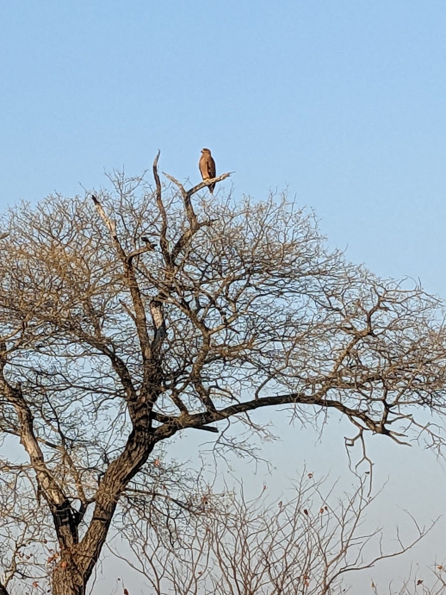  Umbabat Nature Reserve