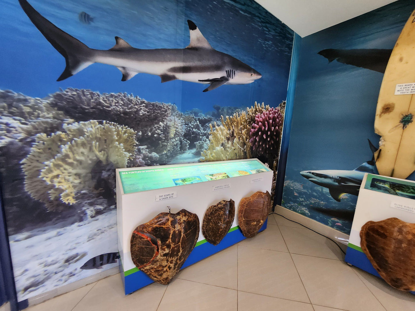  Umhlanga KZN Sharks Board & Conference Centre.