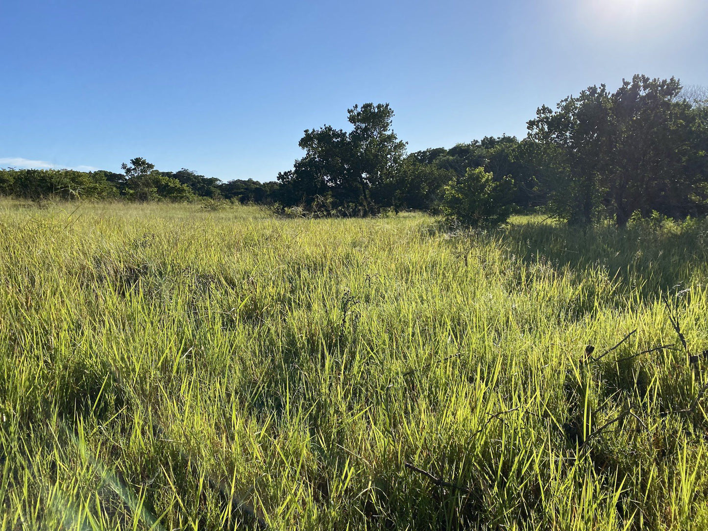  Umlalazi Ezemvelo KZN Wildlife park