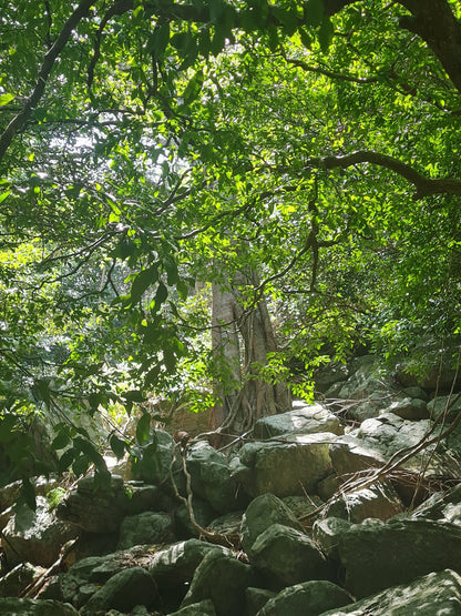  Umtamvuna Nature Reserve