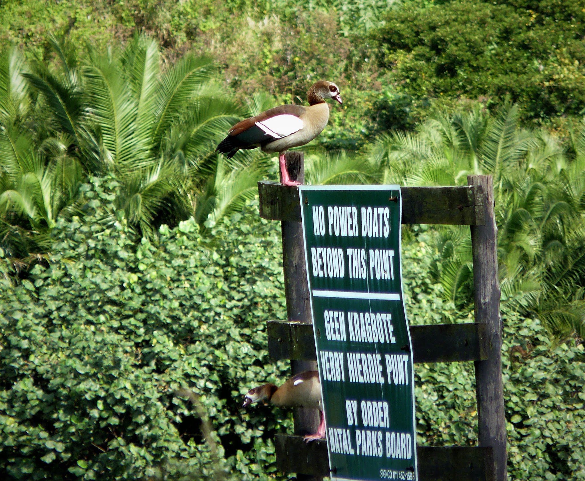  Umtamvuna Nature Reserve