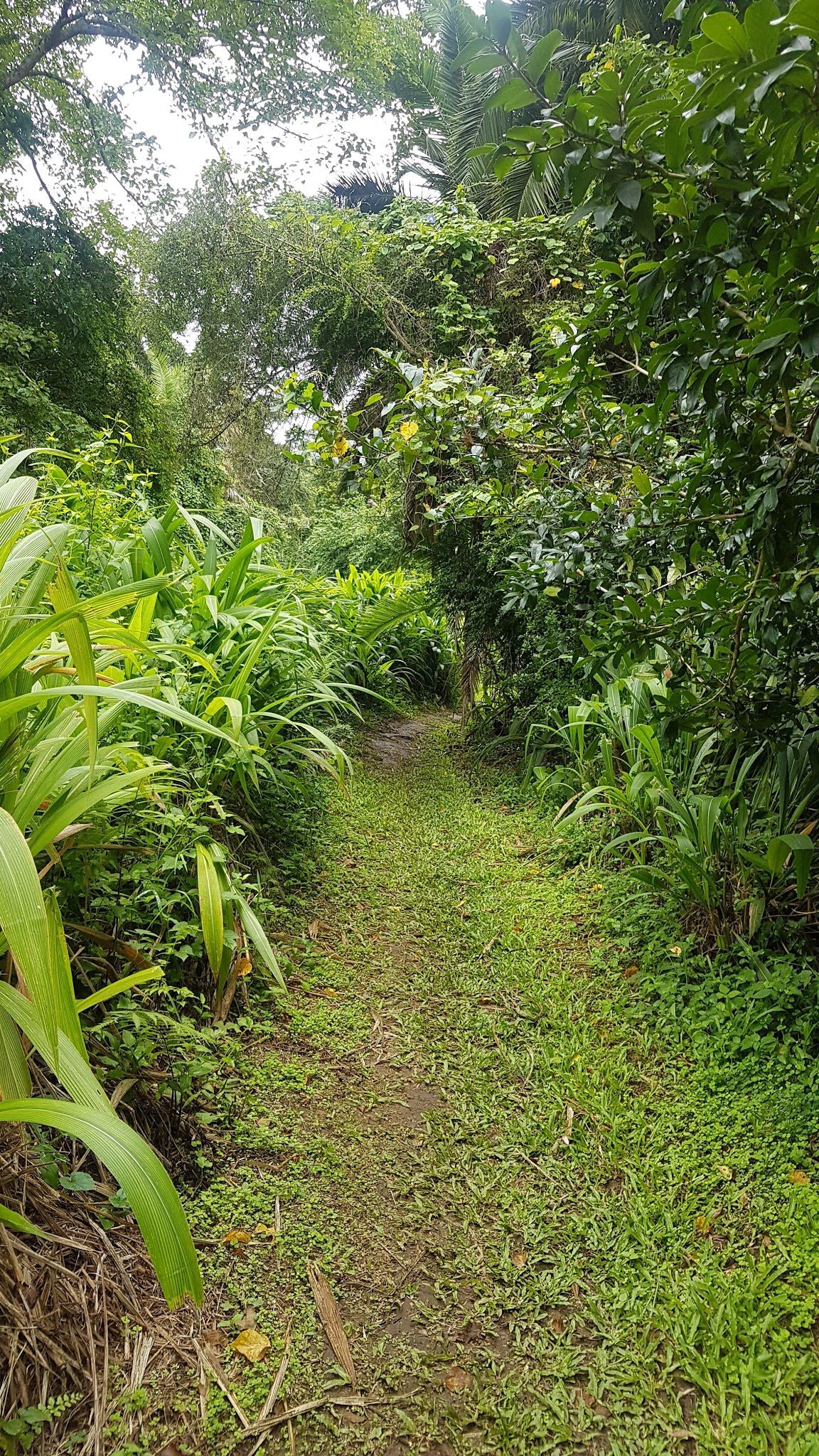  Umtamvuna Nature Reserve