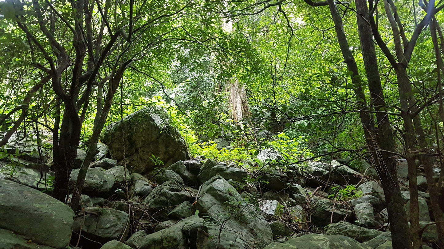  Umtamvuna Nature Reserve