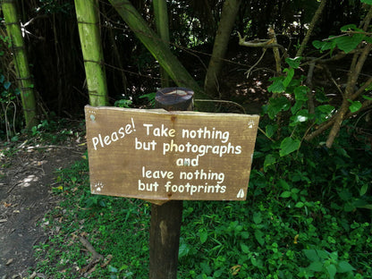  Umtamvuna Nature Reserve