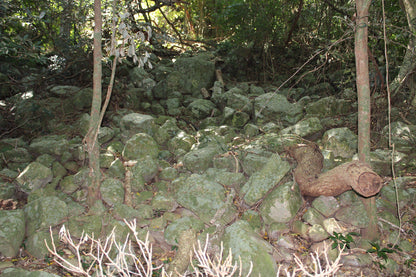  Umtamvuna Nature Reserve