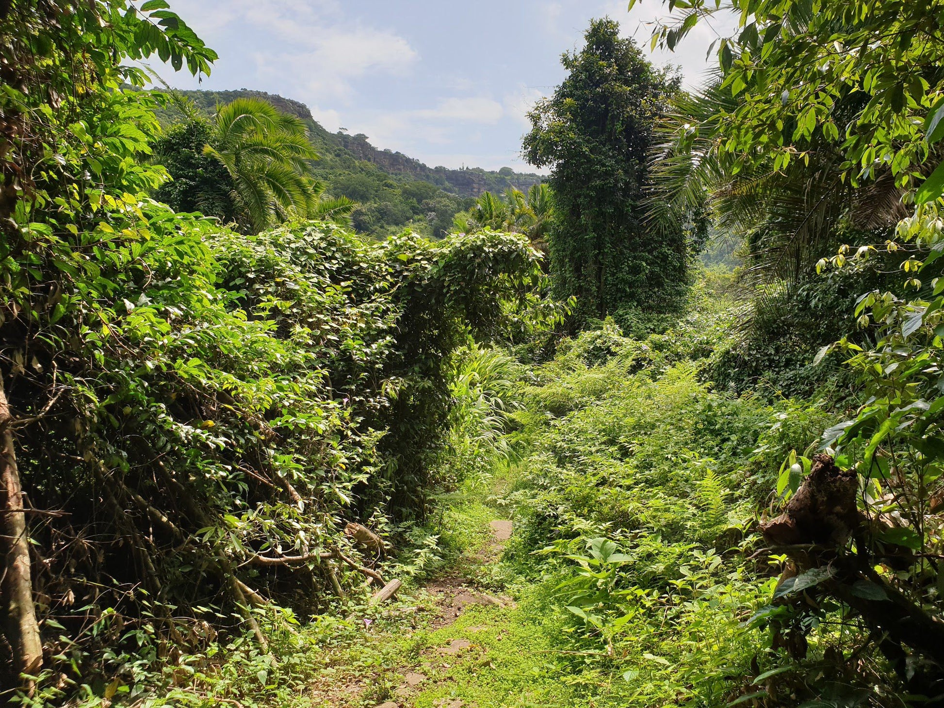  Umtamvuna Nature Reserve