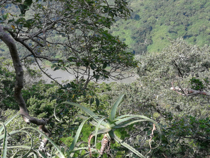  Umtamvuna Nature Reserve