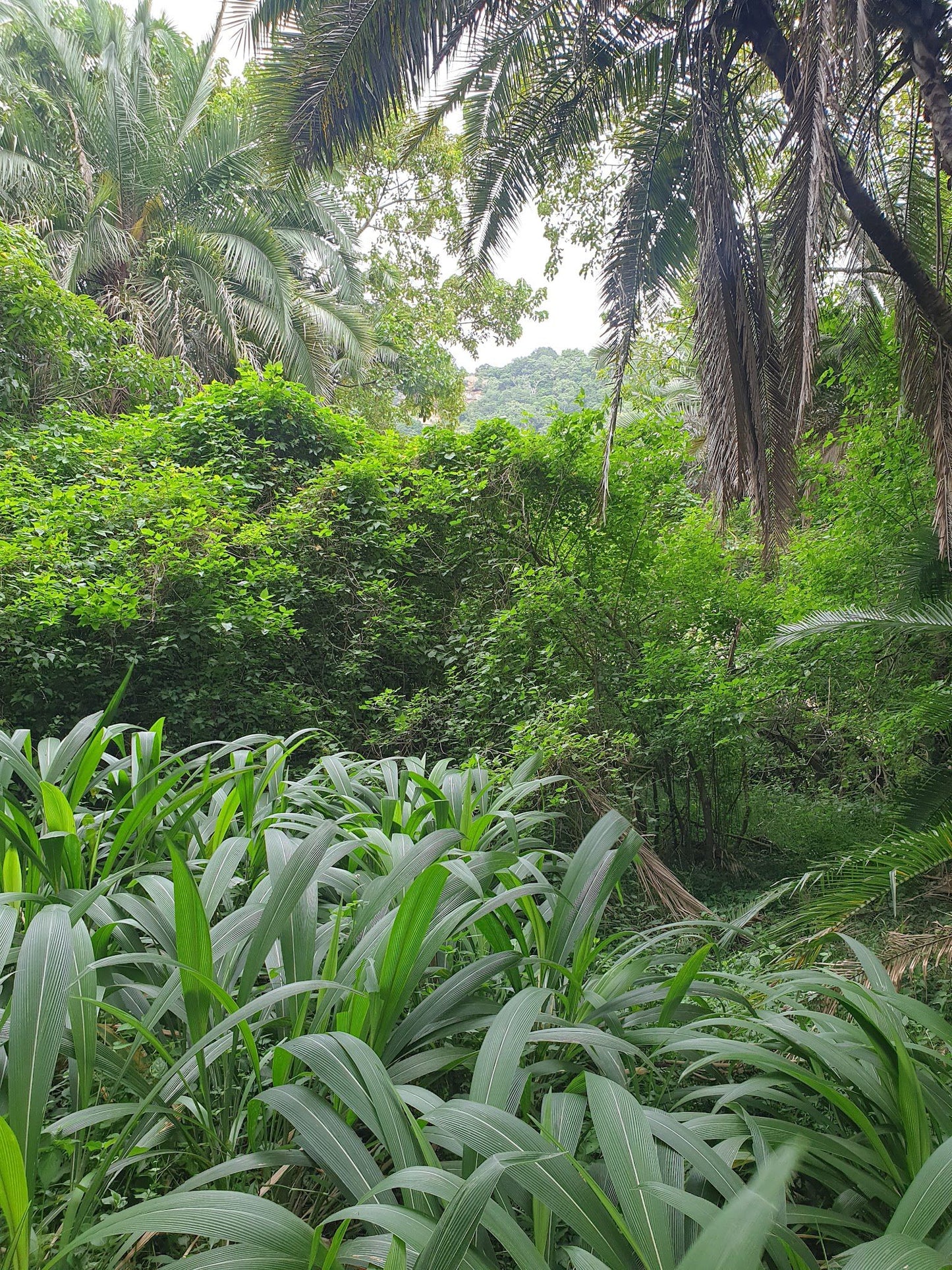  Umtamvuna Nature Reserve