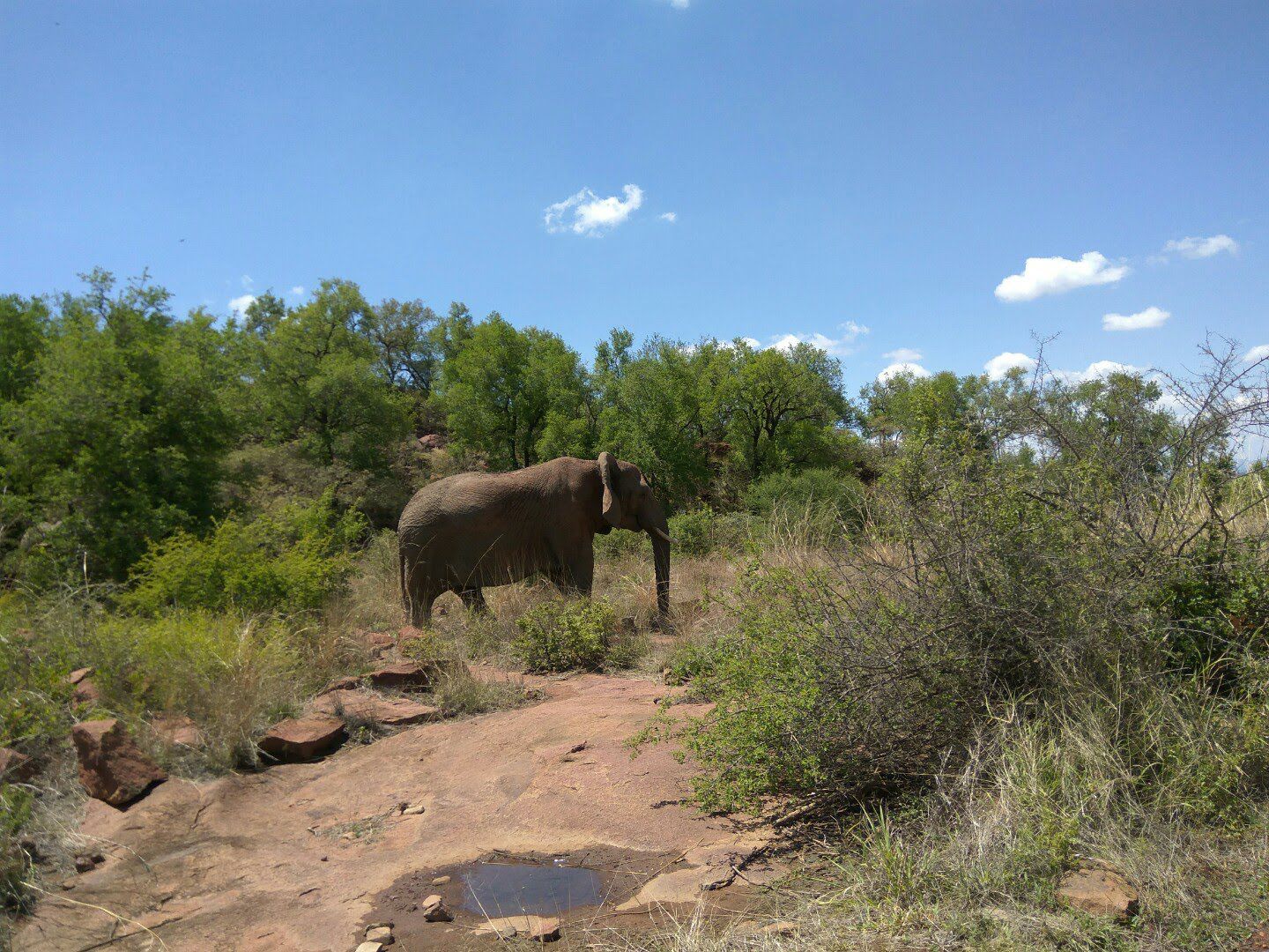  VTM Nature Reserve