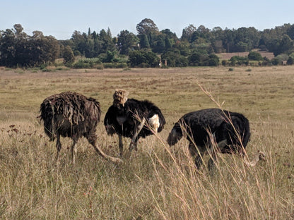  VTM Nature Reserve