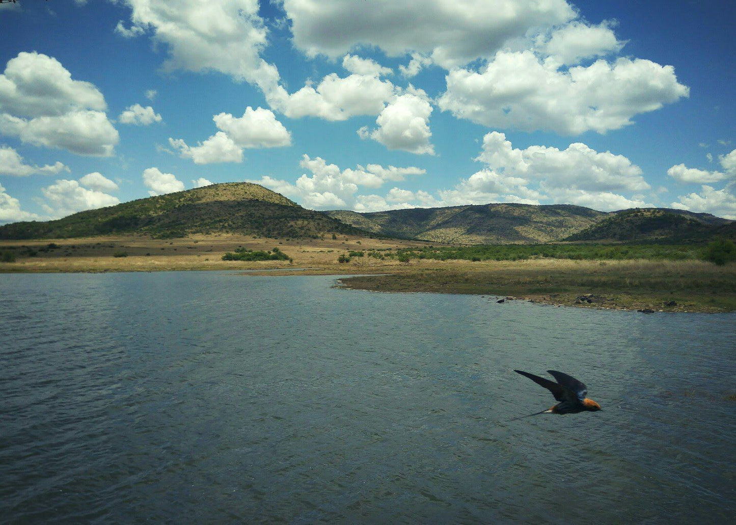  VTM Nature Reserve