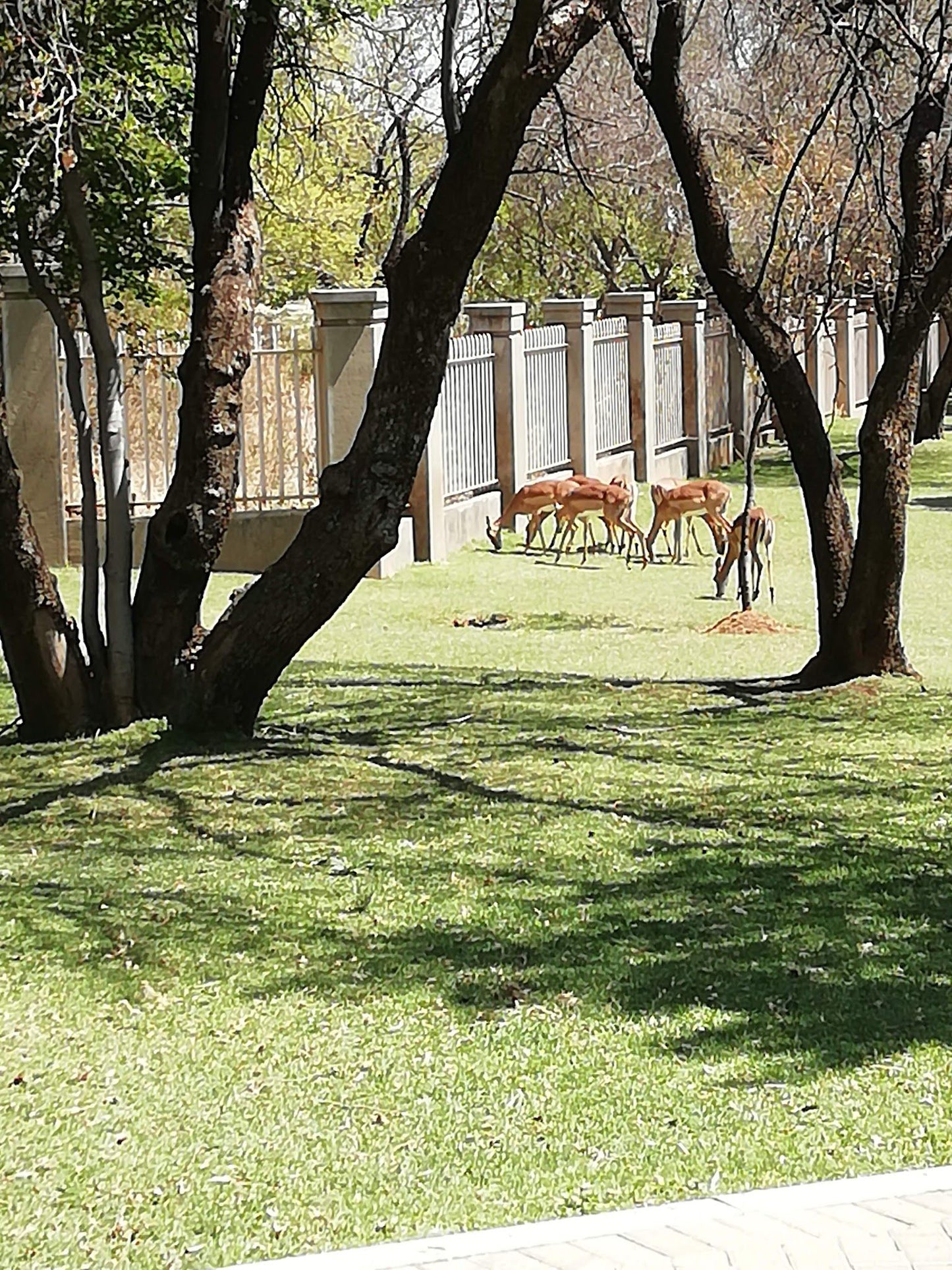  Vaal de Grace Nature Estate