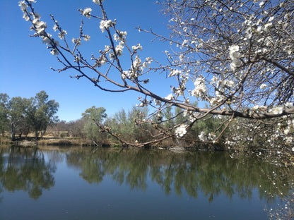  Vaal de Grace Nature Estate