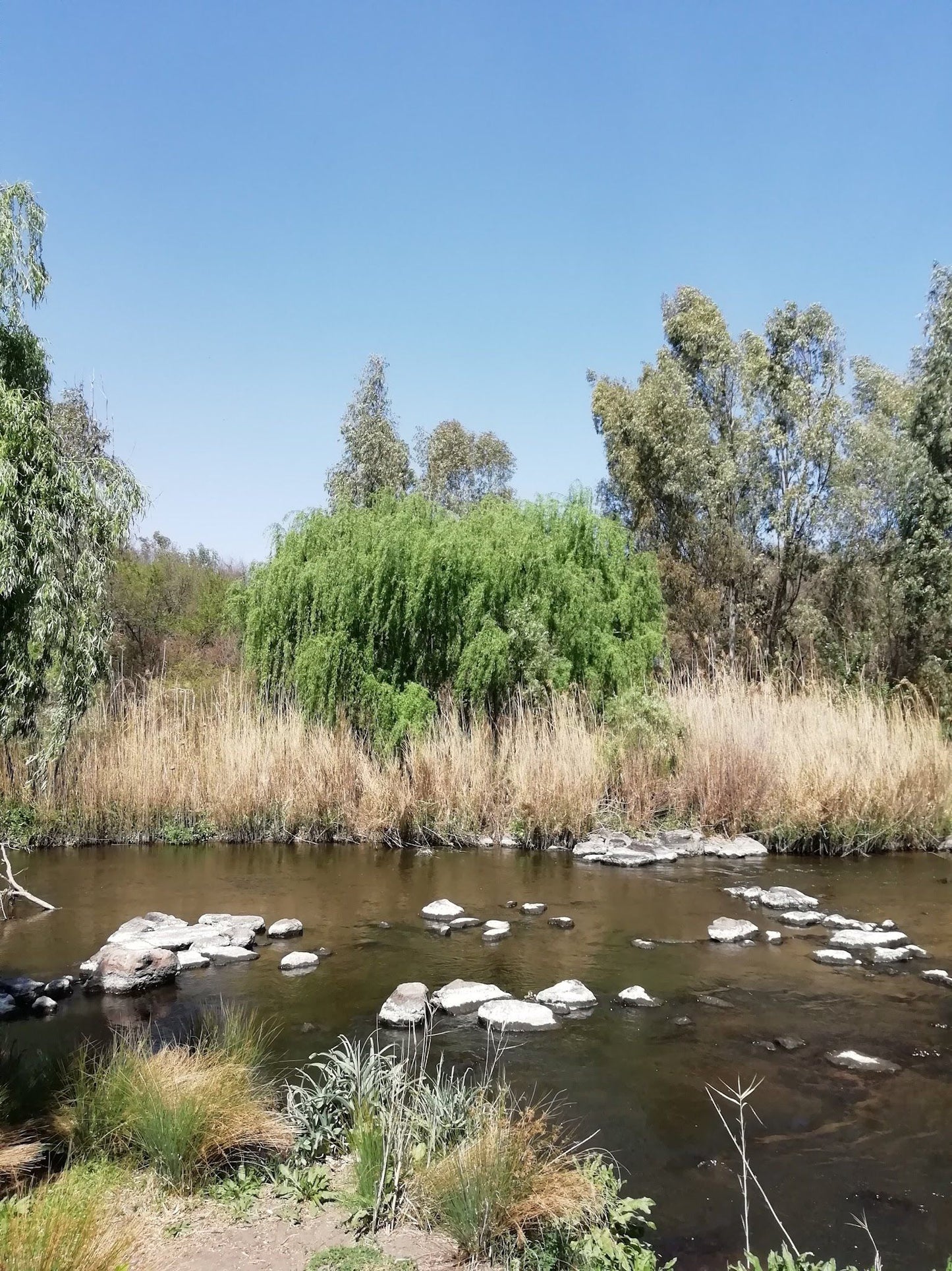  Vaal de Grace Nature Estate